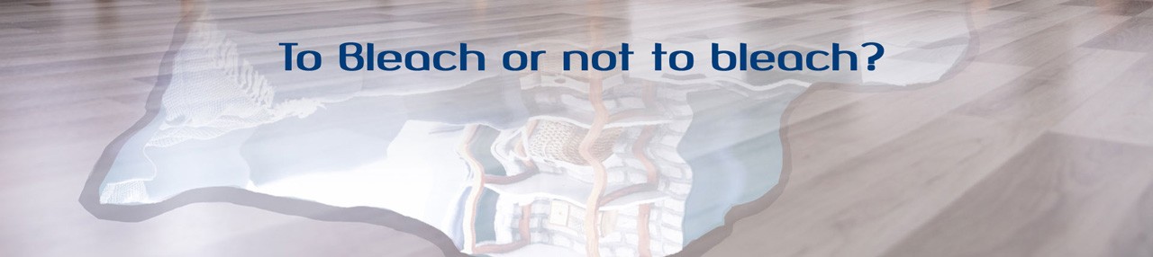 Will bleach kill any kind of mold?
